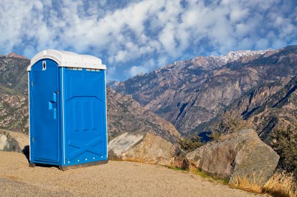 Best Porta potty cleaning services  in Green Oaks, IL